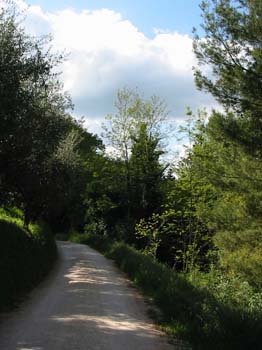 gal/Sant_Angelo_in_Pontano/passeggiata.jpg